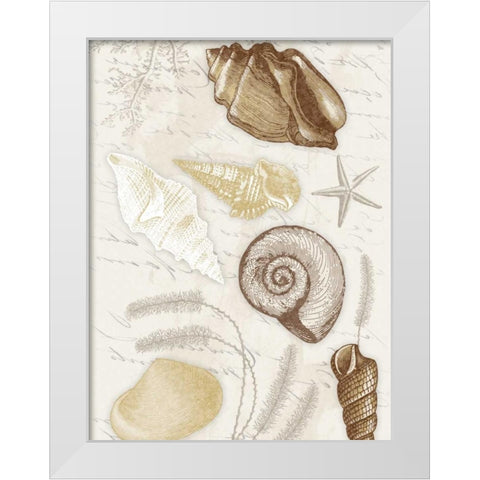 Shells Mate White Modern Wood Framed Art Print by Grey, Jace