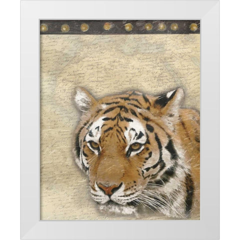 Tiger Africa 2 White Modern Wood Framed Art Print by Grey, Jace
