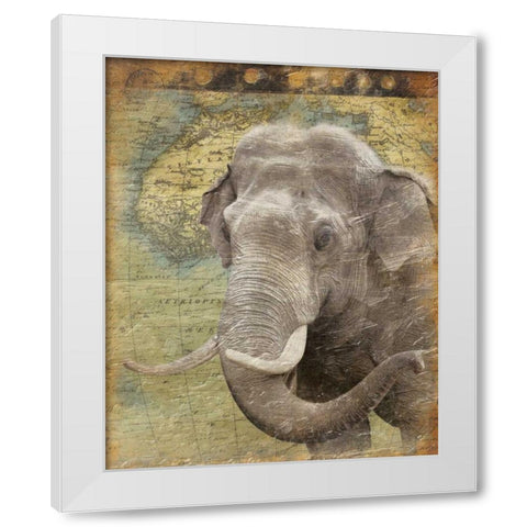 Elephant 2 White Modern Wood Framed Art Print by Grey, Jace