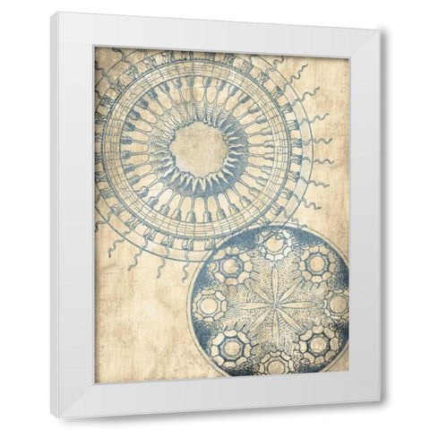Coastal Patterns Cream Mate White Modern Wood Framed Art Print by Grey, Jace