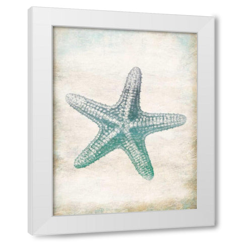 Starfish White Modern Wood Framed Art Print by Grey, Jace