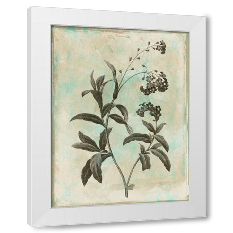 Earthy floral 1 White Modern Wood Framed Art Print by Grey, Jace