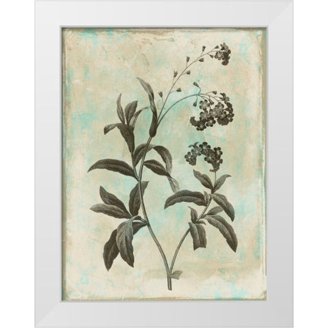 Earthy floral 1 White Modern Wood Framed Art Print by Grey, Jace