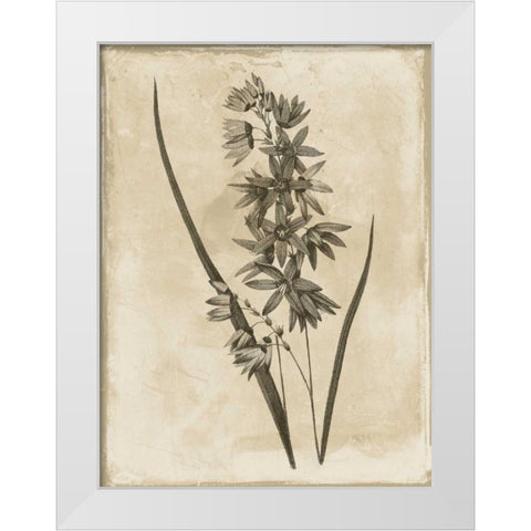 Earthy  floral 3 White Modern Wood Framed Art Print by Grey, Jace