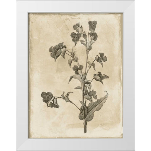 Earthy floral 4 White Modern Wood Framed Art Print by Grey, Jace