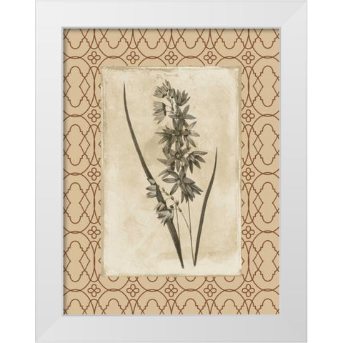 Floral bordered White Modern Wood Framed Art Print by Grey, Jace
