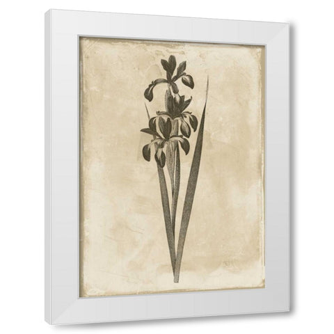 Floral Earthtone Two White Modern Wood Framed Art Print by Grey, Jace