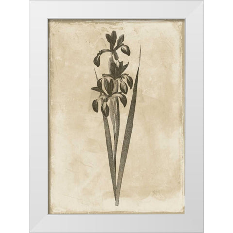 Floral Earthtone Two White Modern Wood Framed Art Print by Grey, Jace