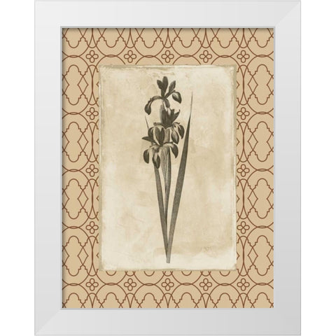 Floral bordered 2 White Modern Wood Framed Art Print by Grey, Jace