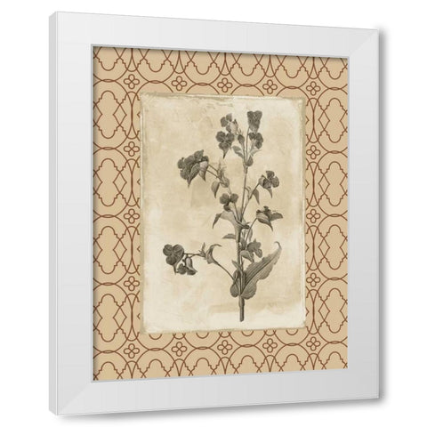 Floral bordered 3 White Modern Wood Framed Art Print by Grey, Jace