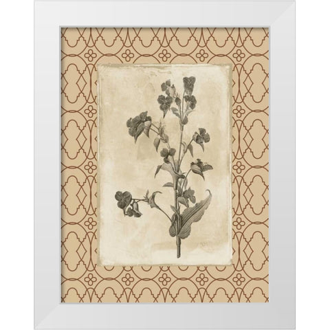 Floral bordered 3 White Modern Wood Framed Art Print by Grey, Jace