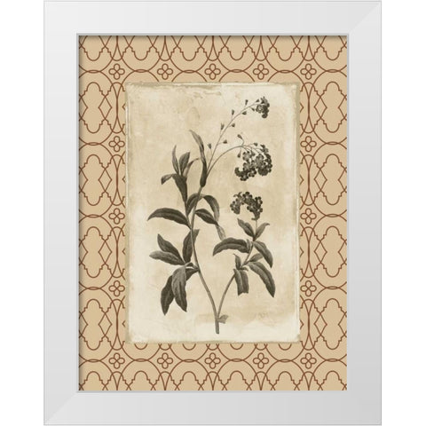 Floral bordered 4 White Modern Wood Framed Art Print by Grey, Jace