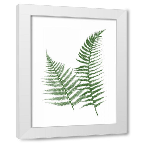 Green Ferns White Modern Wood Framed Art Print by Grey, Jace