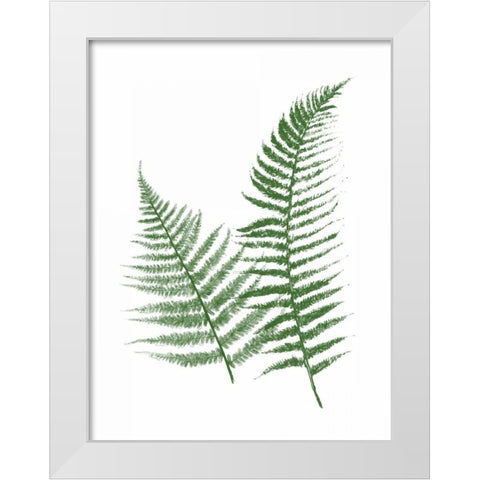 Green Ferns White Modern Wood Framed Art Print by Grey, Jace