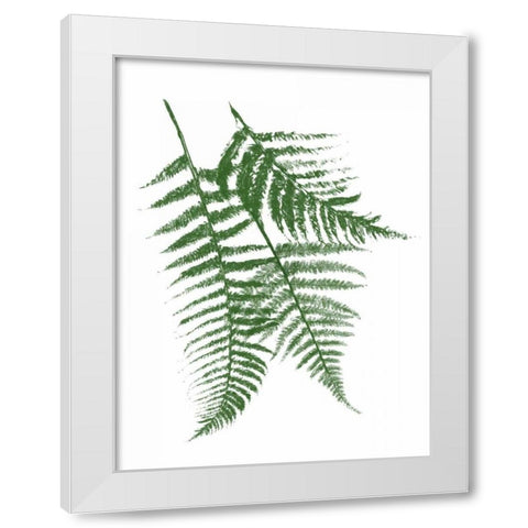 Green Ferns Mate White Modern Wood Framed Art Print by Grey, Jace