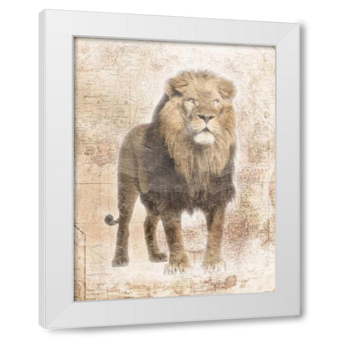 African Lion White Modern Wood Framed Art Print by Grey, Jace