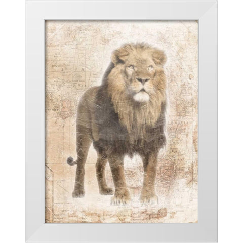African Lion White Modern Wood Framed Art Print by Grey, Jace
