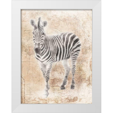 African Zebra White Modern Wood Framed Art Print by Grey, Jace