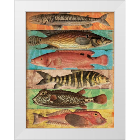 Fish Wall Mate White Modern Wood Framed Art Print by Grey, Jace