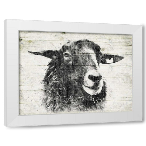 Vintage Sheep White Modern Wood Framed Art Print by Grey, Jace