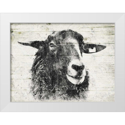 Vintage Sheep White Modern Wood Framed Art Print by Grey, Jace