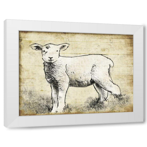 Vintage Lamb Sketch White Modern Wood Framed Art Print by Grey, Jace