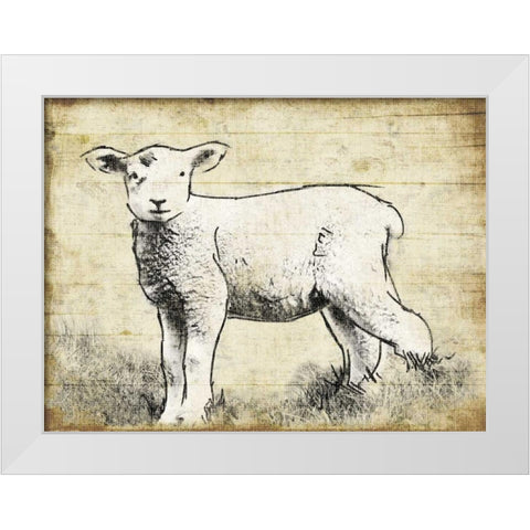 Vintage Lamb Sketch White Modern Wood Framed Art Print by Grey, Jace