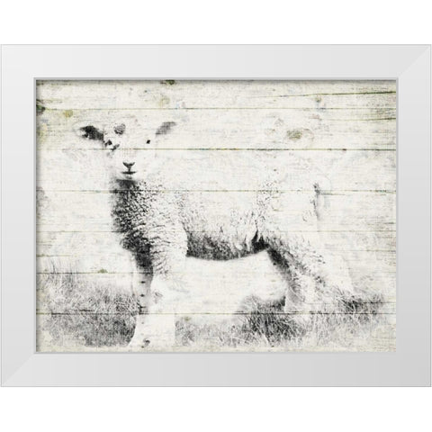 Vintage Lamb White Modern Wood Framed Art Print by Grey, Jace