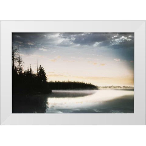 Foggy Forest White Modern Wood Framed Art Print by Grey, Jace