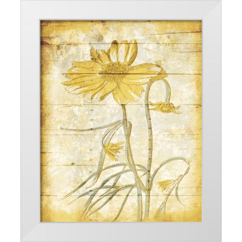 Calm Day Breeze White Modern Wood Framed Art Print by Grey, Jace