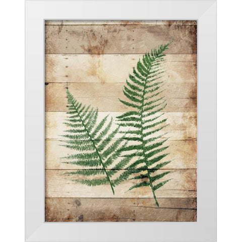 Ferns On Wood White Modern Wood Framed Art Print by Grey, Jace