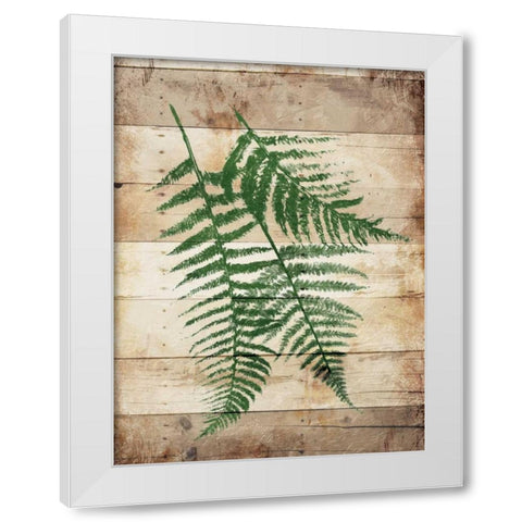 Ferns On Wood Mate White Modern Wood Framed Art Print by Grey, Jace