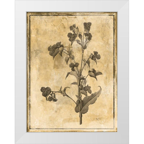Stencil Floral White Modern Wood Framed Art Print by Grey, Jace
