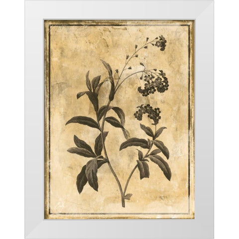 Stencil Floral Mate White Modern Wood Framed Art Print by Grey, Jace