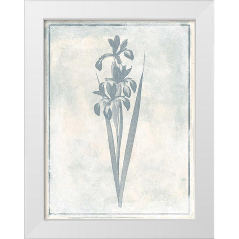 Sky Floral Four Cleaner White Modern Wood Framed Art Print by Grey, Jace