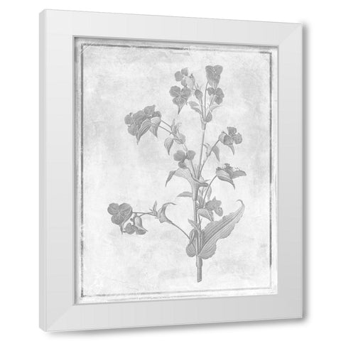 Monochrome Floral Cleaner 1 White Modern Wood Framed Art Print by Grey, Jace
