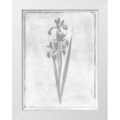 Monochrome Floral Cleaner 4 White Modern Wood Framed Art Print by Grey, Jace