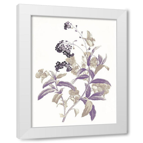 Lavender Flowers Two White Modern Wood Framed Art Print by Grey, Jace