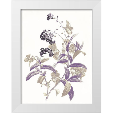 Lavender Flowers Two White Modern Wood Framed Art Print by Grey, Jace