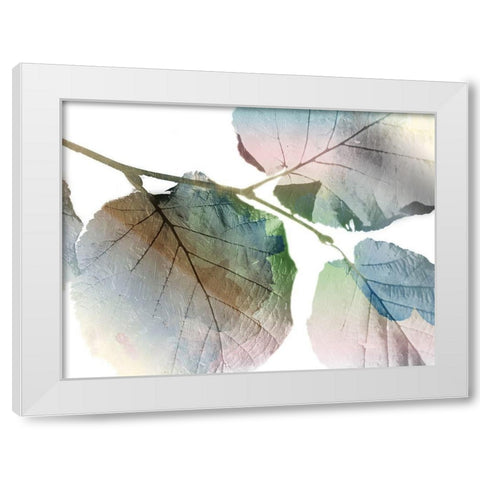 Land Ombre White Modern Wood Framed Art Print by Grey, Jace