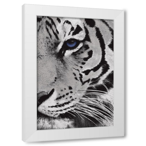 Tiger Purple Eye Mate White Modern Wood Framed Art Print by Grey, Jace