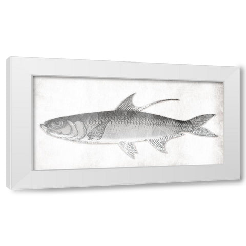 Grey Fish White Modern Wood Framed Art Print by Grey, Jace