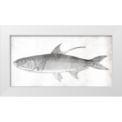Grey Fish White Modern Wood Framed Art Print by Grey, Jace