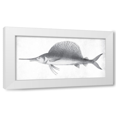 Grey Sword Fish White Modern Wood Framed Art Print by Grey, Jace