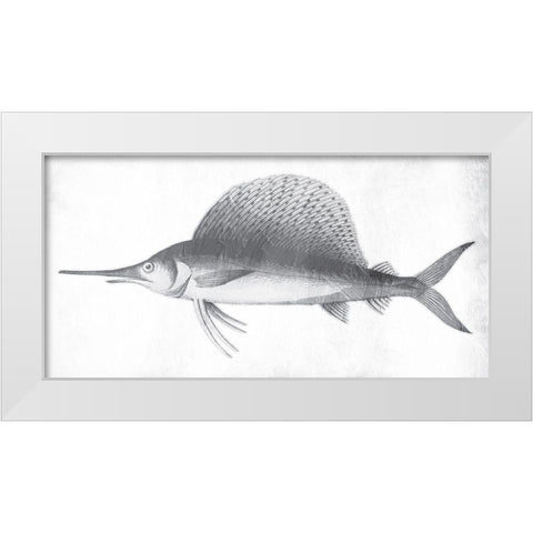Grey Sword Fish White Modern Wood Framed Art Print by Grey, Jace