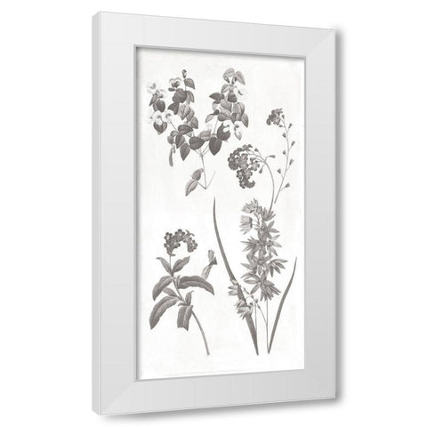 Plants White Modern Wood Framed Art Print by Grey, Jace