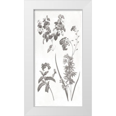 Plants White Modern Wood Framed Art Print by Grey, Jace