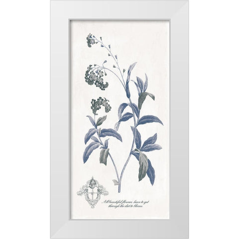 Beautiful Flowers White Modern Wood Framed Art Print by Grey, Jace