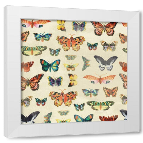Butterfly White Modern Wood Framed Art Print by Grey, Jace
