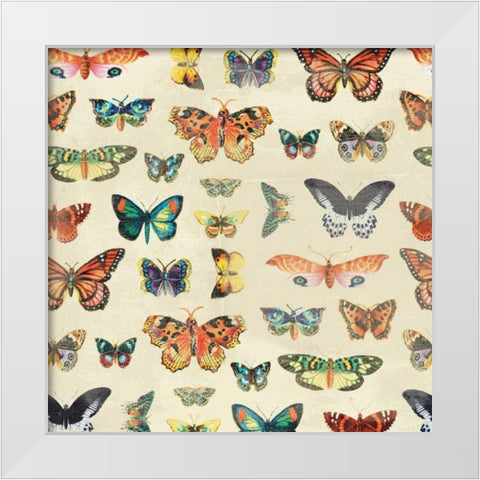 Butterfly White Modern Wood Framed Art Print by Grey, Jace